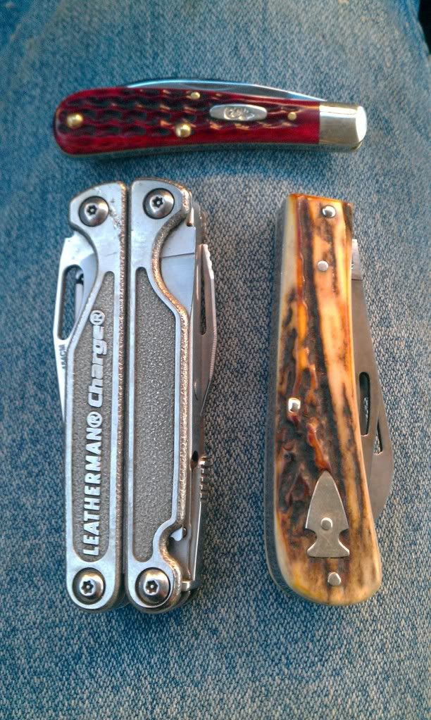 IMAG0113.jpg
