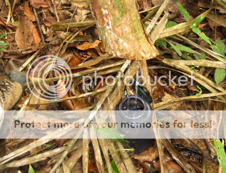 IMG_0945_zpse65f45bc.jpg