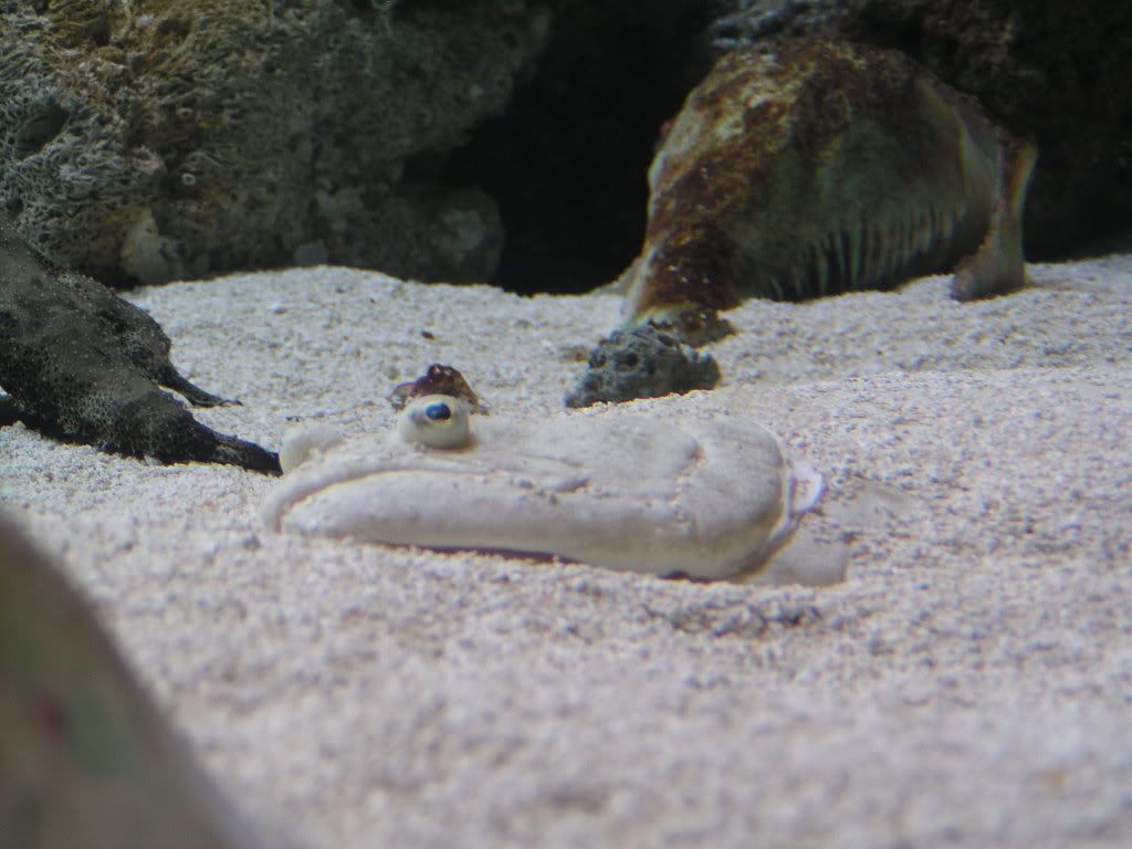 P1010077.jpg