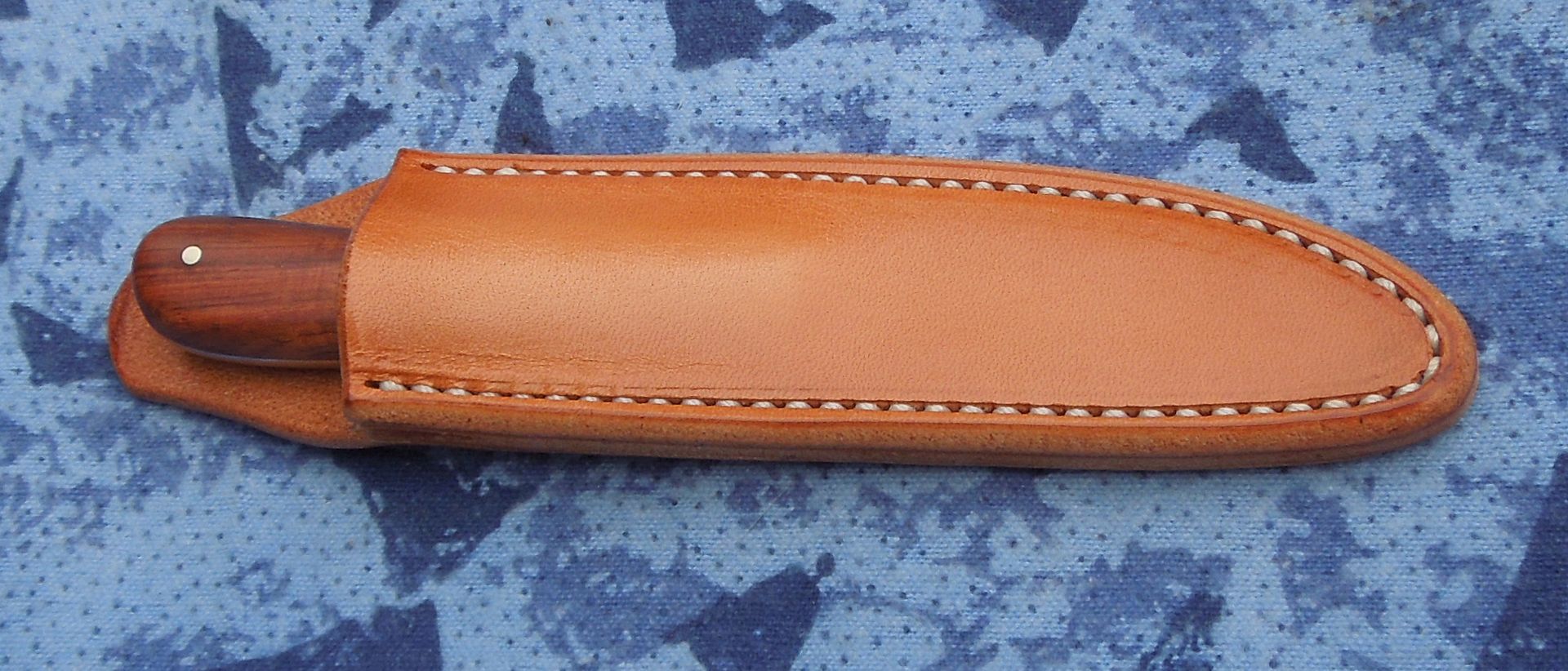 DSCN2753_zpsdcf12cce.jpg