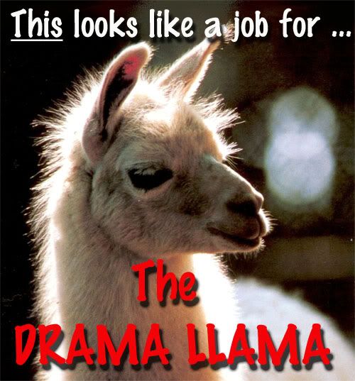 llama.jpg
