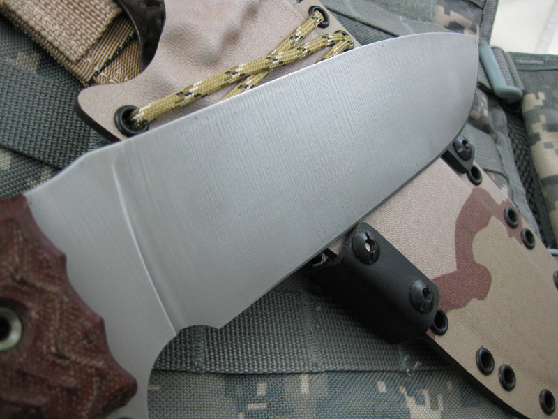 Busse_Stripped_HOFSH_PPKSDrop_006.jpg