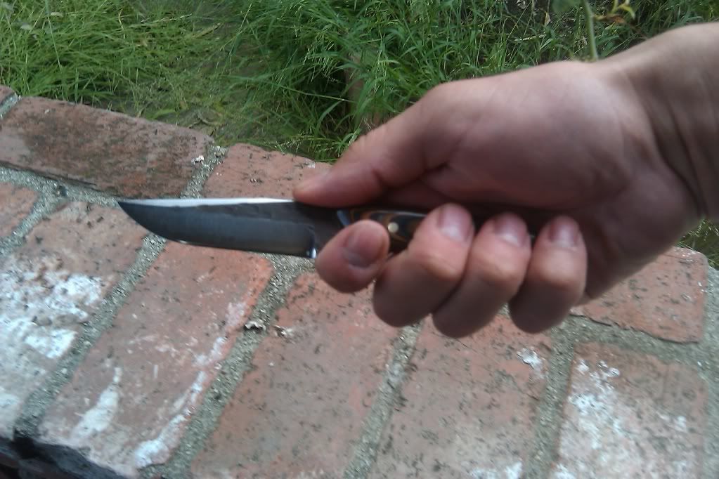 IMAG0281.jpg