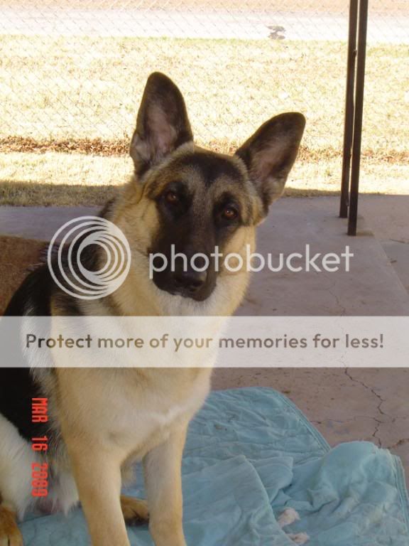 Picture003.jpg