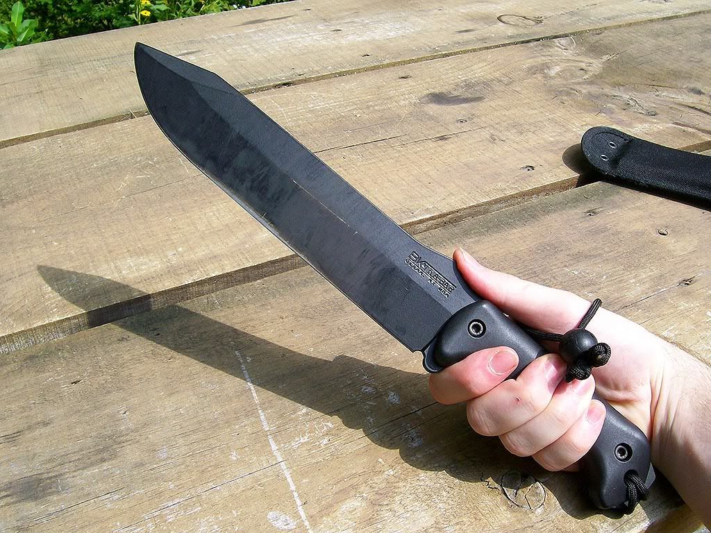 BeckerBk9.jpg