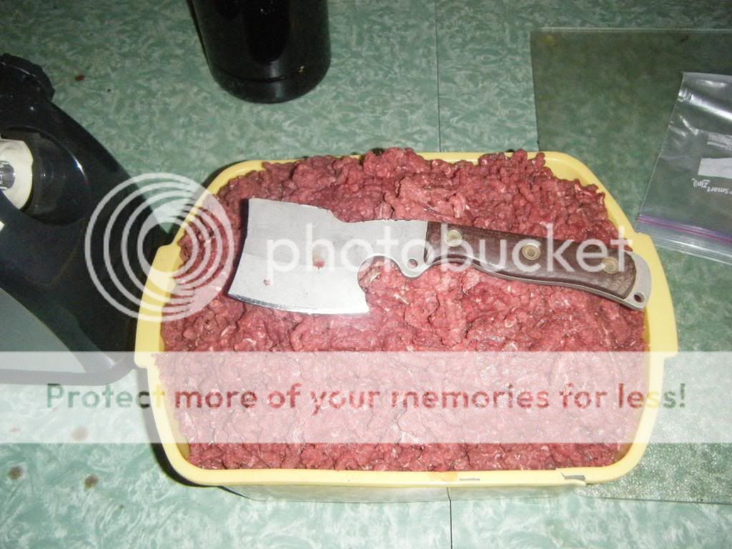 DSCF9555.jpg