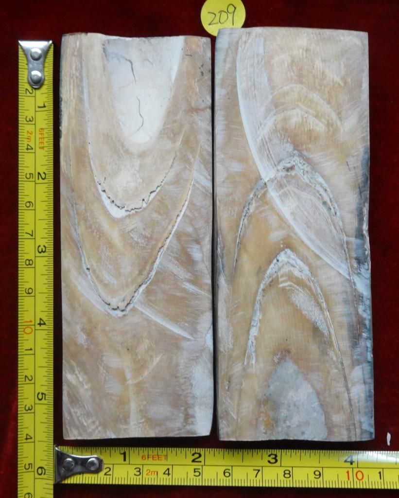 209b_zps73dac751.jpg