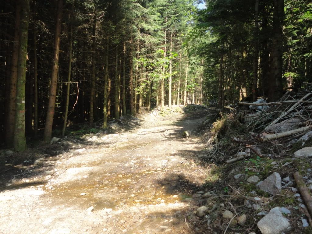 DSC01854.jpg