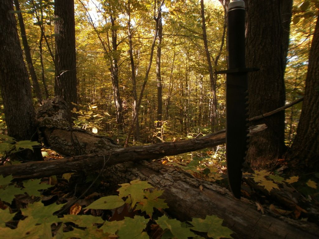 PA120102_zpsz0hpdgws.jpg