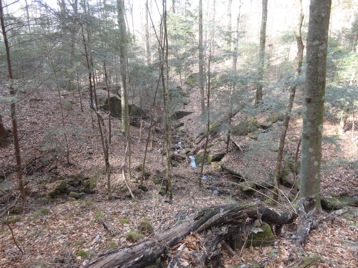 DSC08303_zpsjky4ejuj.jpg