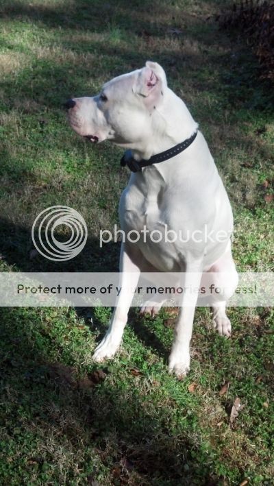 magnusoutside2_zps19a21c5f.jpg