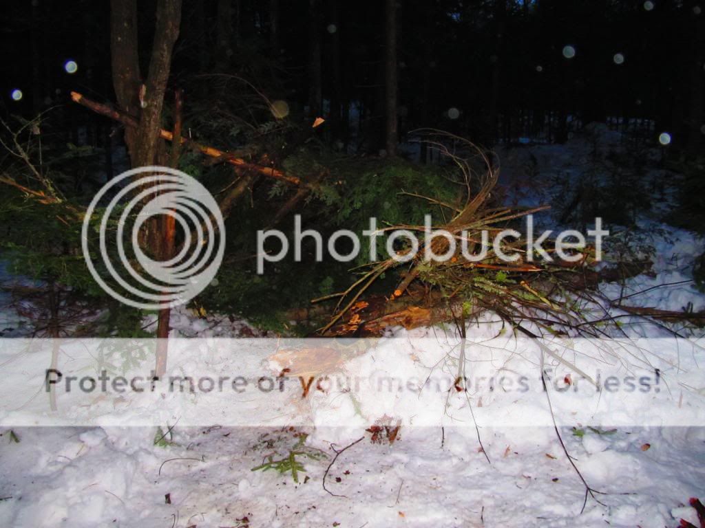IMG_2272_zpsbc1c68e0.jpg