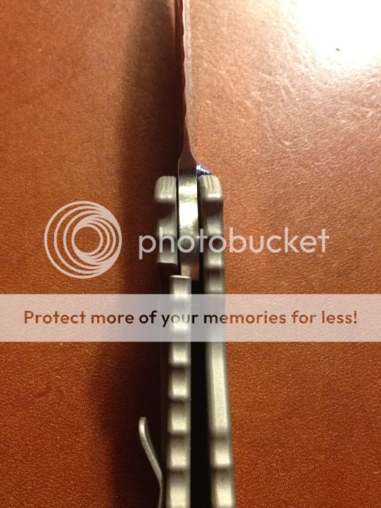 PhotoMar0250036PM.jpg