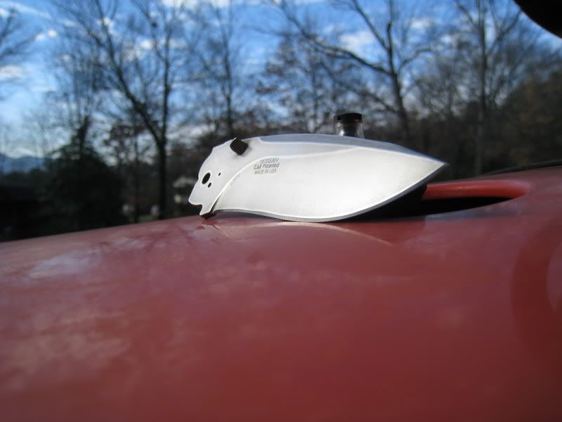 IMG_0002.jpg