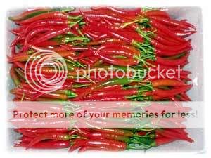 chilli.jpg