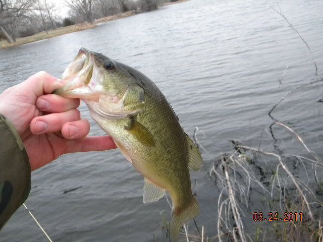 DSCN3495.jpg