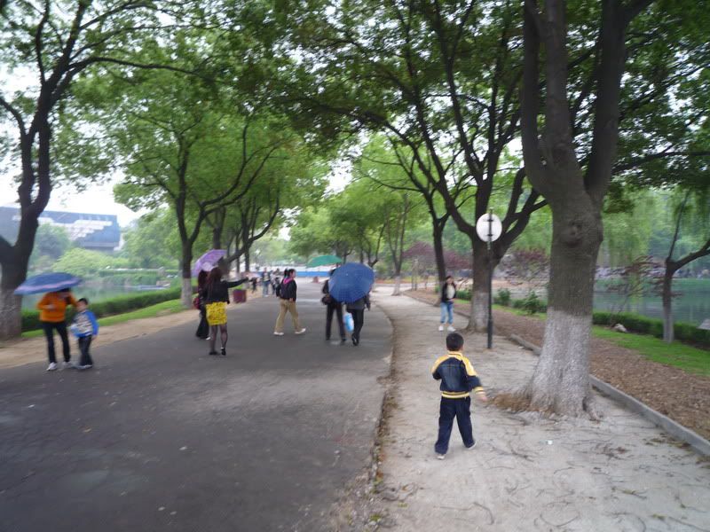 P1060260.jpg