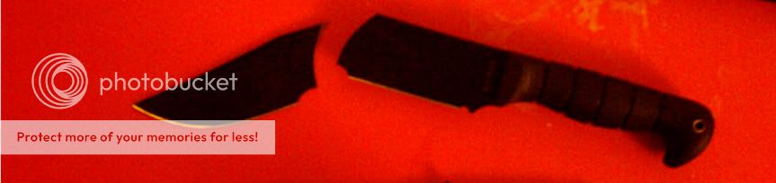 IMAG0084-1.jpg