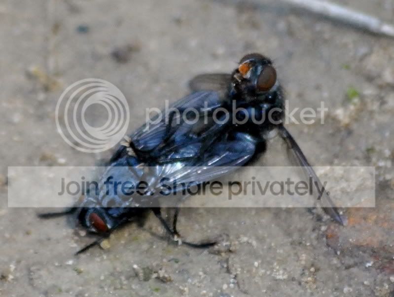DSC_9015.jpg
