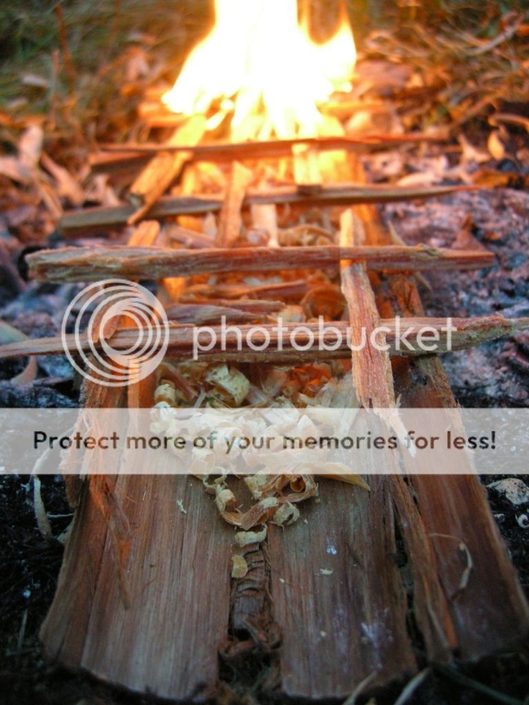 FireContest016.jpg