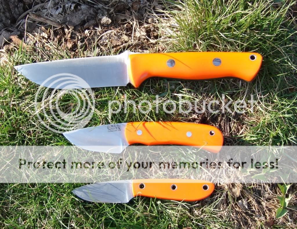 OrangeCrush004.jpg