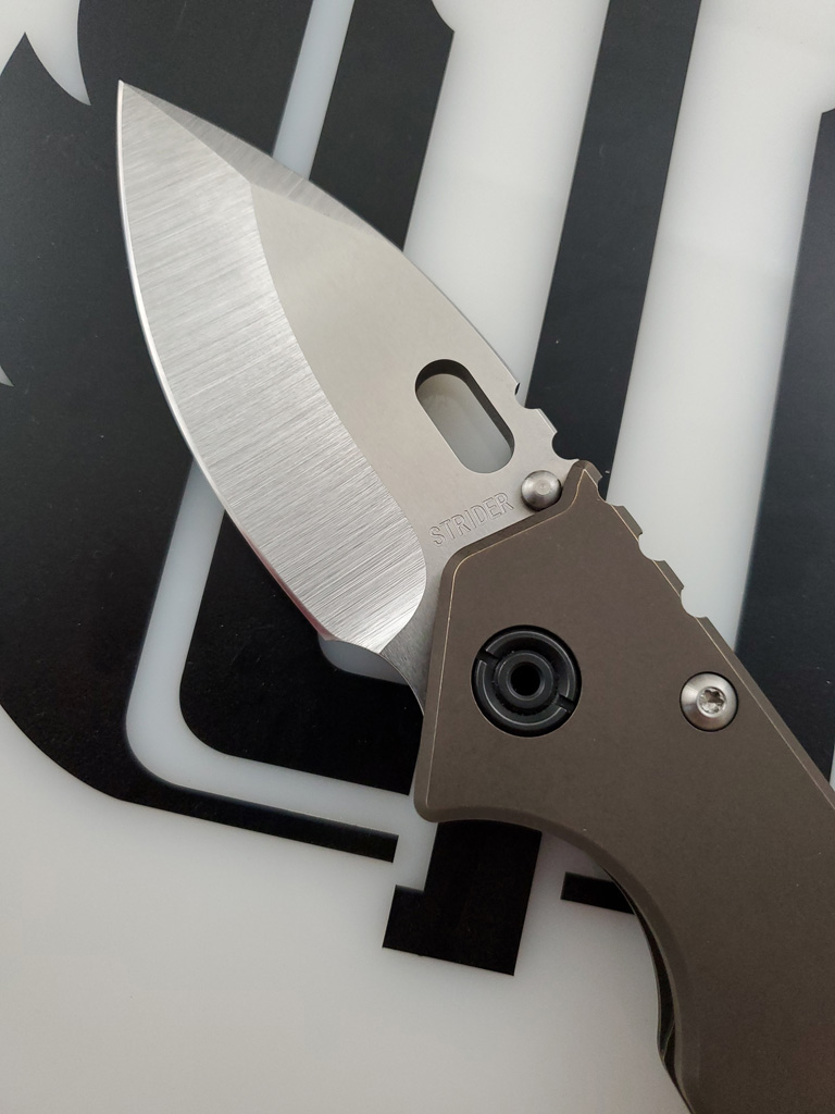 StriderPoint75ARDP_003.jpg
