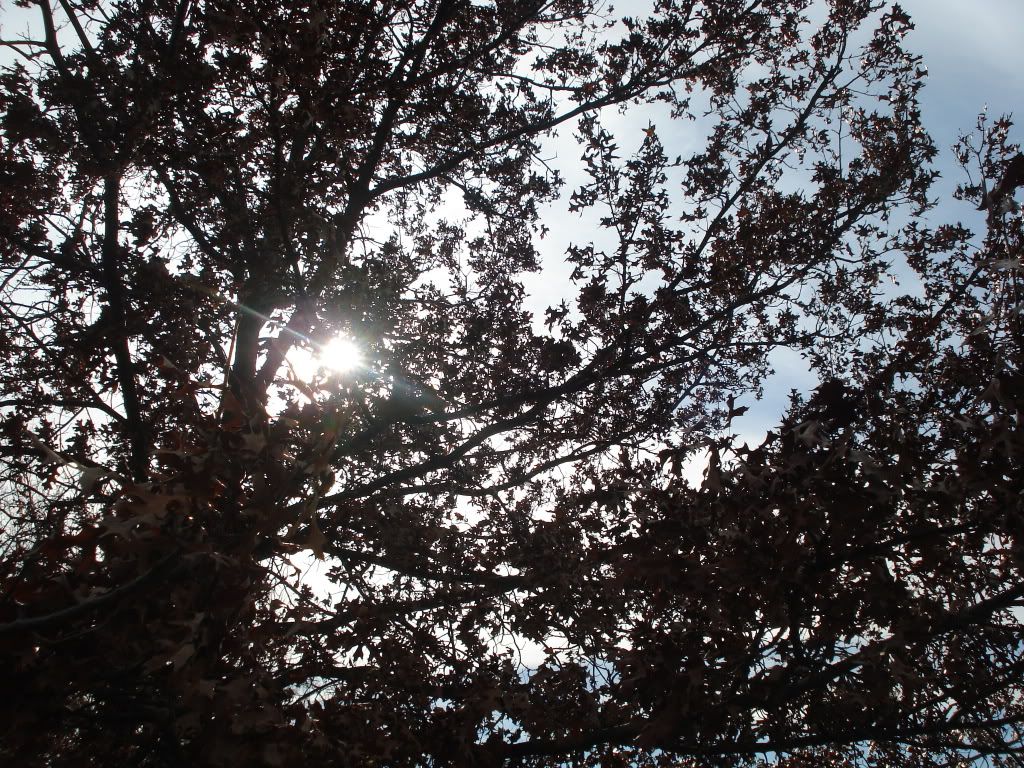 DSC03968.jpg