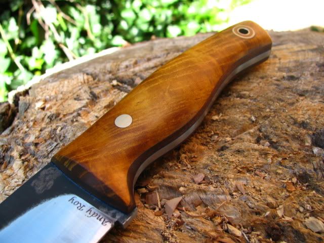 FiddlebackHunter004.jpg