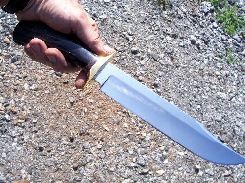 bbowie4.jpg