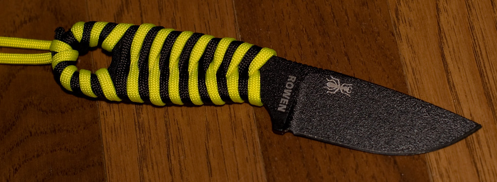 3913058527_84c863ef61_b.jpg