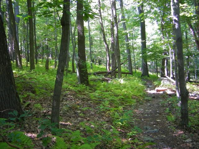 camping048.jpg