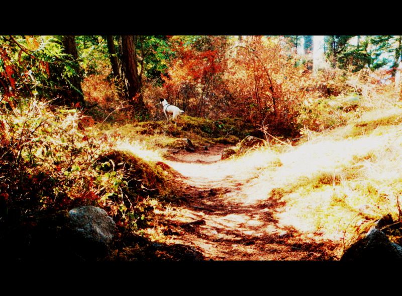 JohnDeanFall2012009-001.jpg
