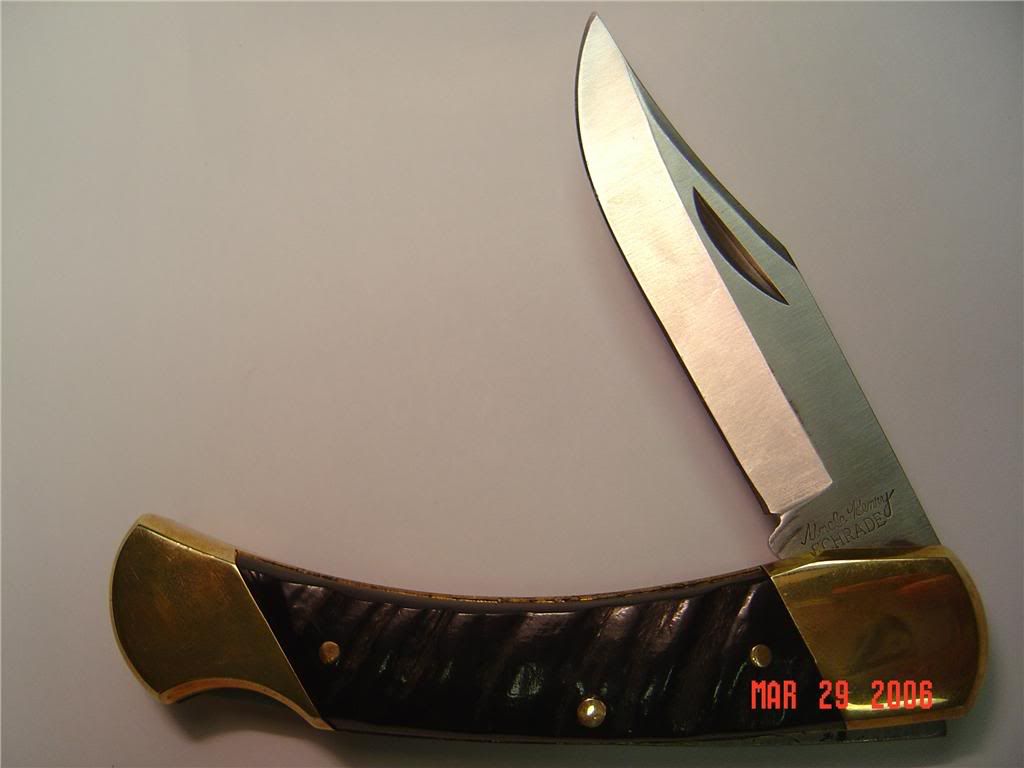 8816608_o.jpg