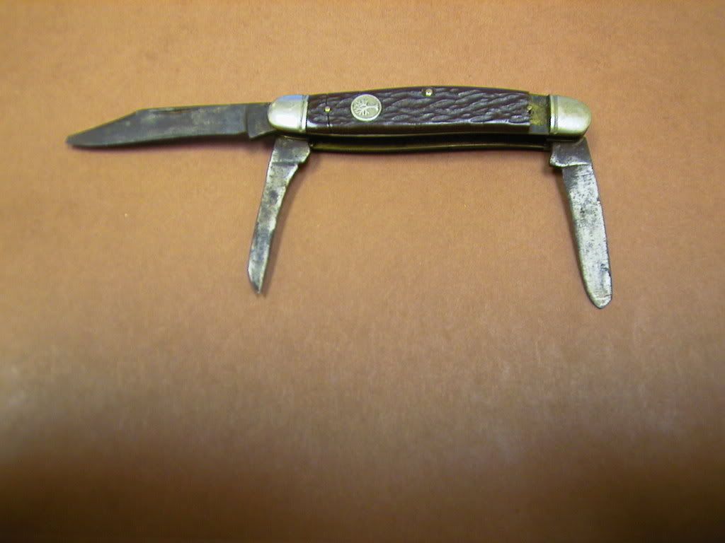 boker001.jpg