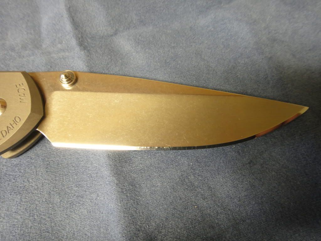 DSC00727.jpg