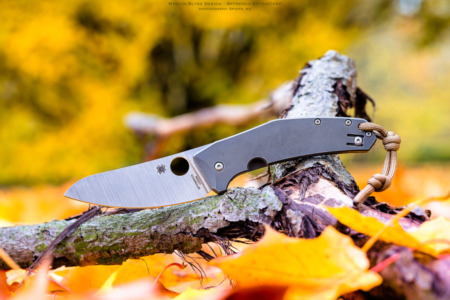 spydiechef_web_01112016.jpg