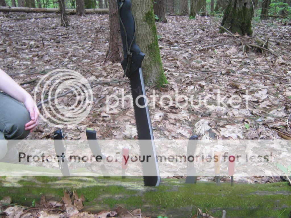 IMG_2642.jpg