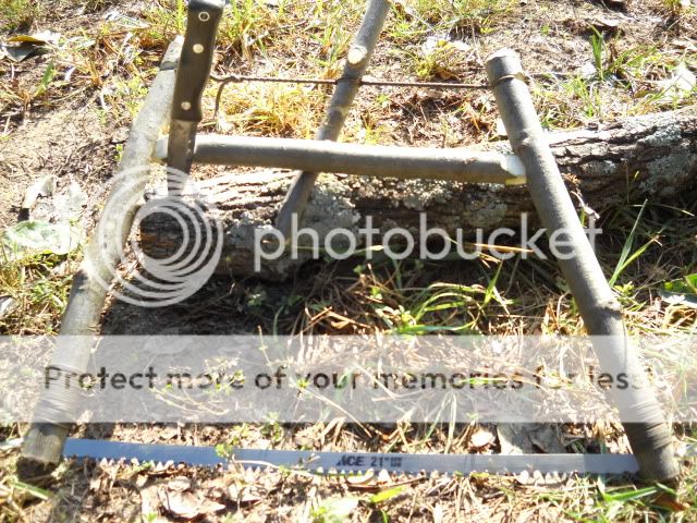 DSCN1083.jpg