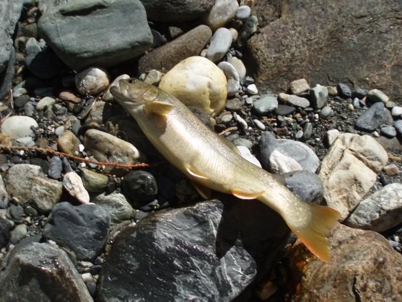 Summer2011124.jpg