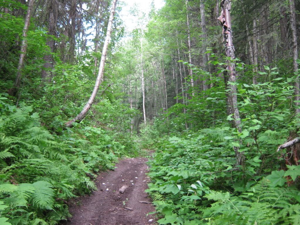 July032010059.jpg