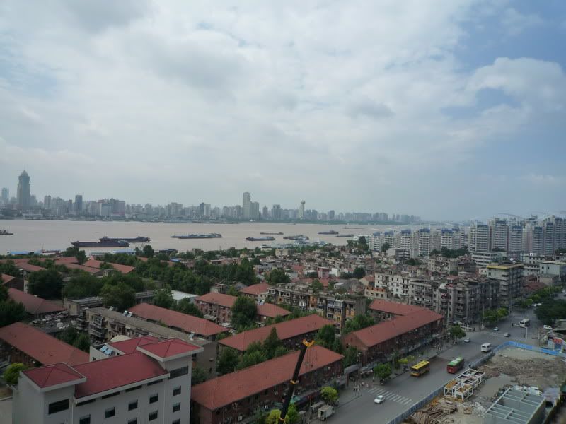 P1000803.jpg