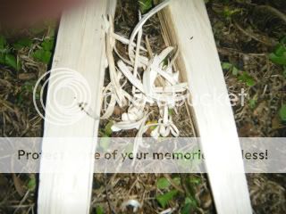 DSCF1002.jpg