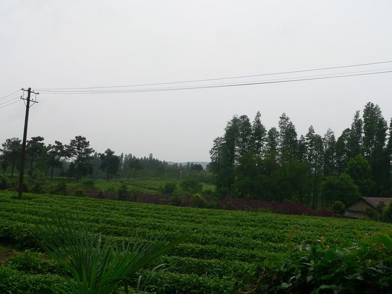 P1400512.jpg