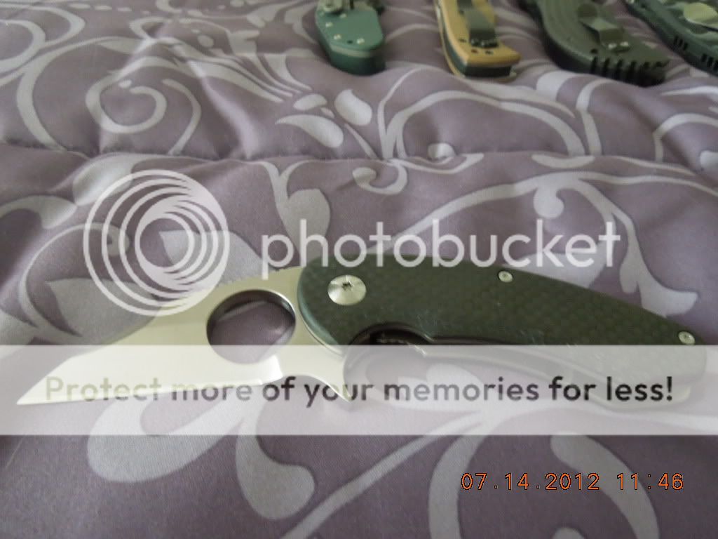 DSCN0580.jpg