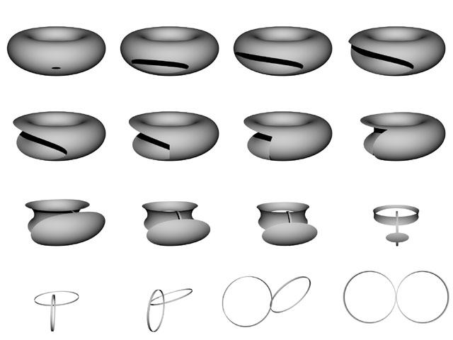 torus8.jpg