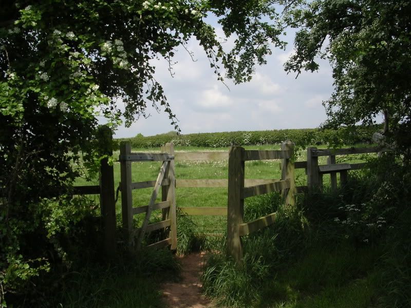 DSCN0923.jpg