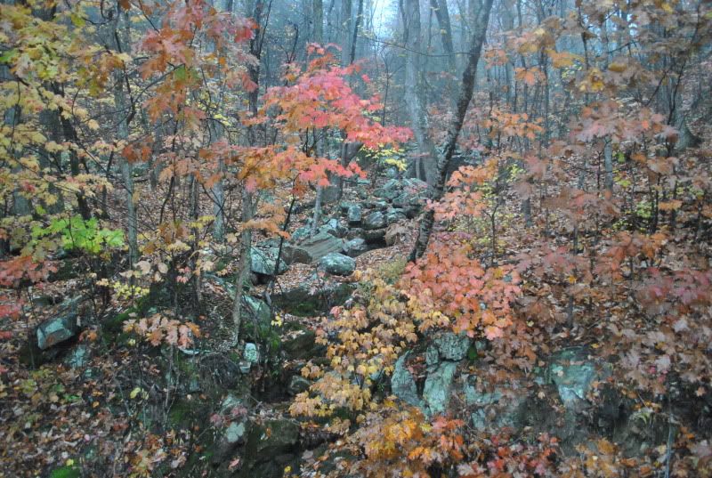 DSC_8626.jpg