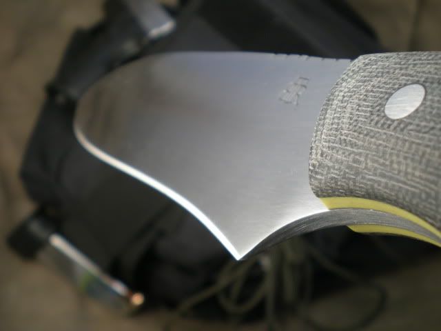 P8031341.jpg