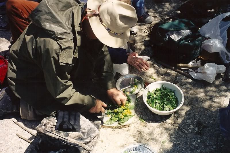 sc0006429c.jpg