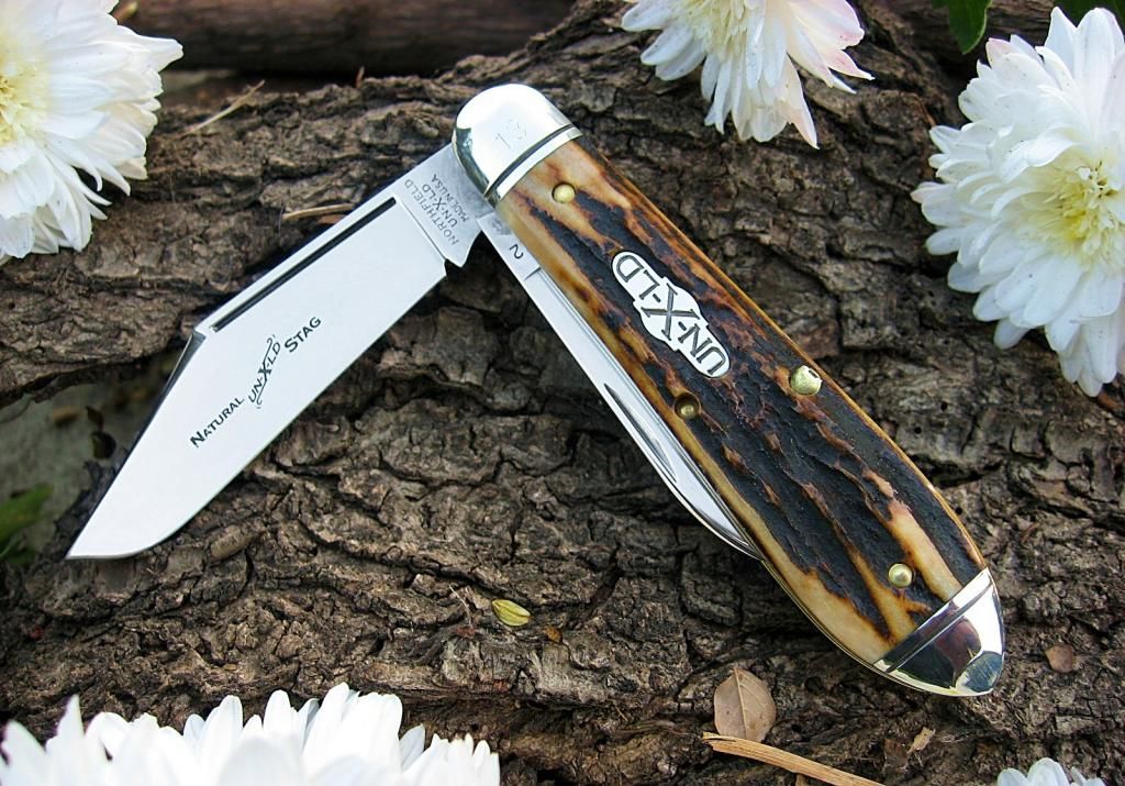 GEC85TeardropStag01.jpg